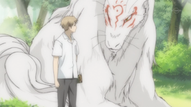 natsume, yuujinchou, ayakashi, lucky cat natsume, yuujinchou, ayakashi, lucky cat