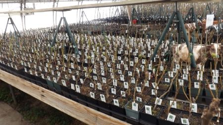  photo f0034c0d-9afa-47cb-bc92-99115cd6f4a2.jpg