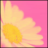 flower-4.gif picture by tk1551