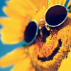 ththsunflower.png picture by tk1551