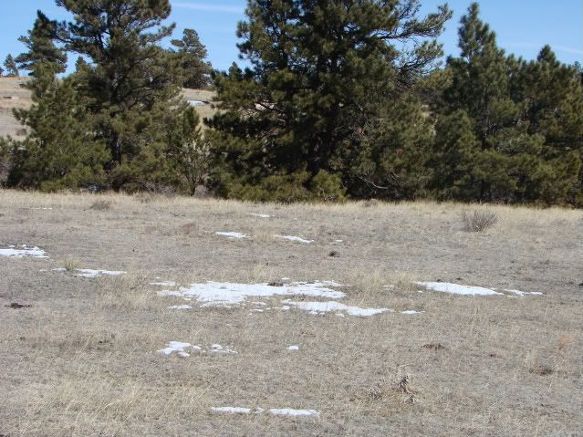 Shedhunting3-7-08012.jpg