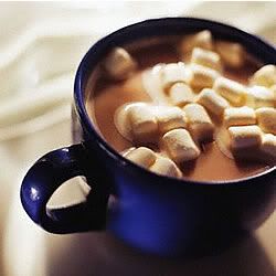 Hot Cocoa Pictures, Images and Photos