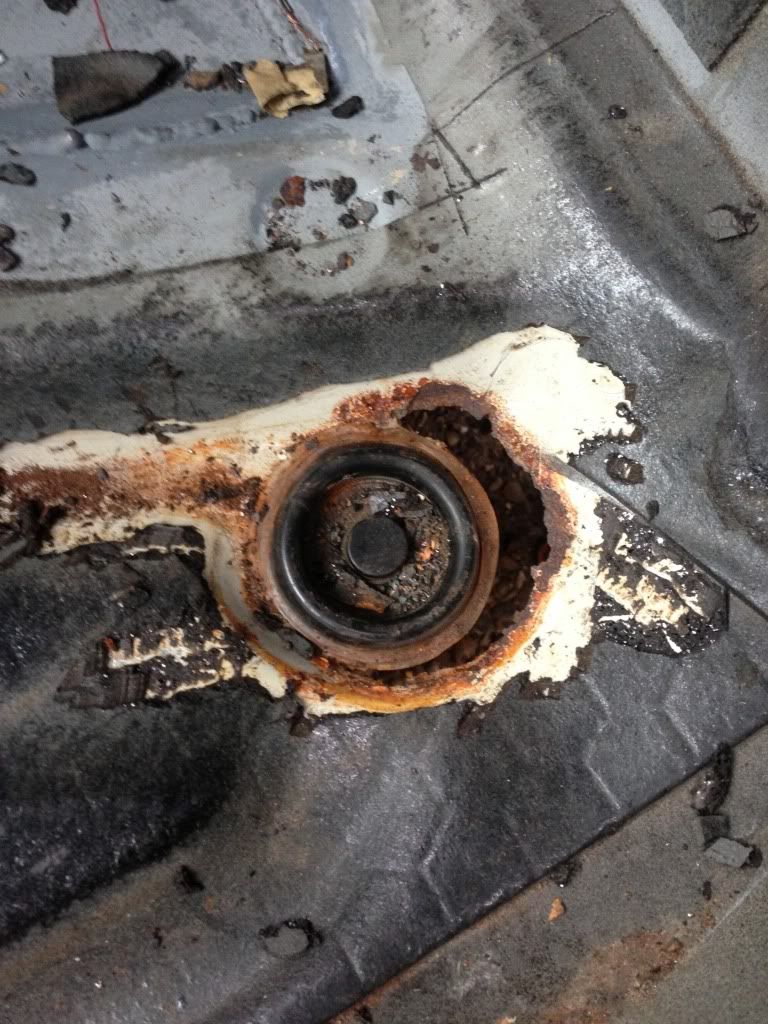 [Image: 902C1120-74D7-4E6C-9C26-DF283CE4C656-572...E29702.jpg]