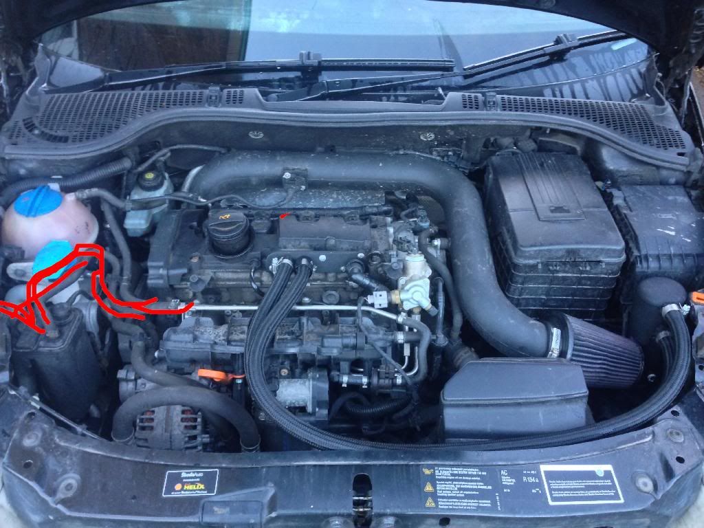 Charcoal canister delete. Anyone done it? Skoda Octavia Mk II (2004