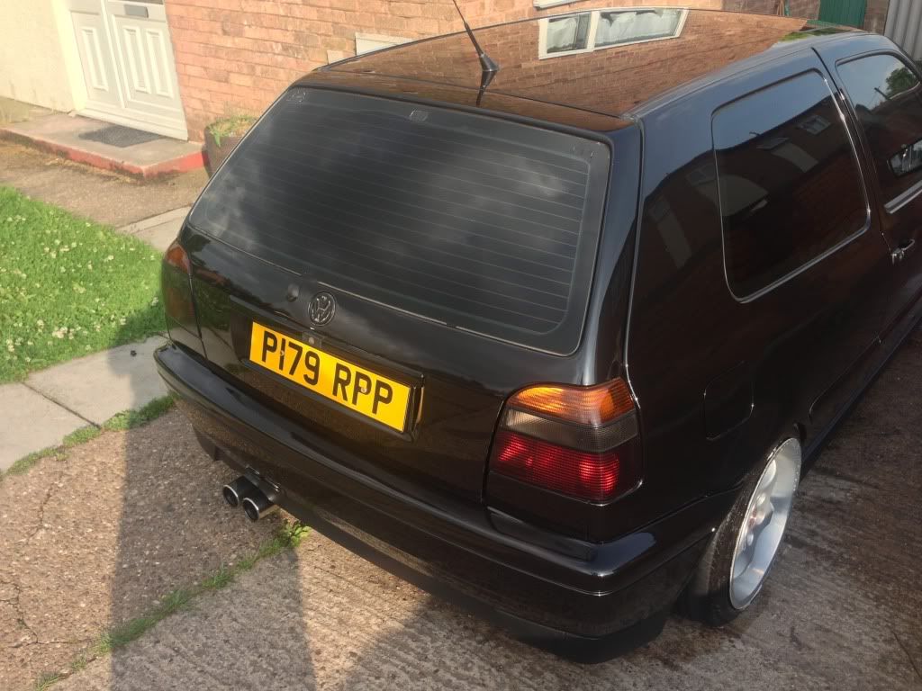 [Image: C5E16A9A-B925-4B1C-AB45-01ABA38F1349-240...081599.jpg]