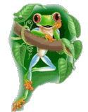 animatated tree frog