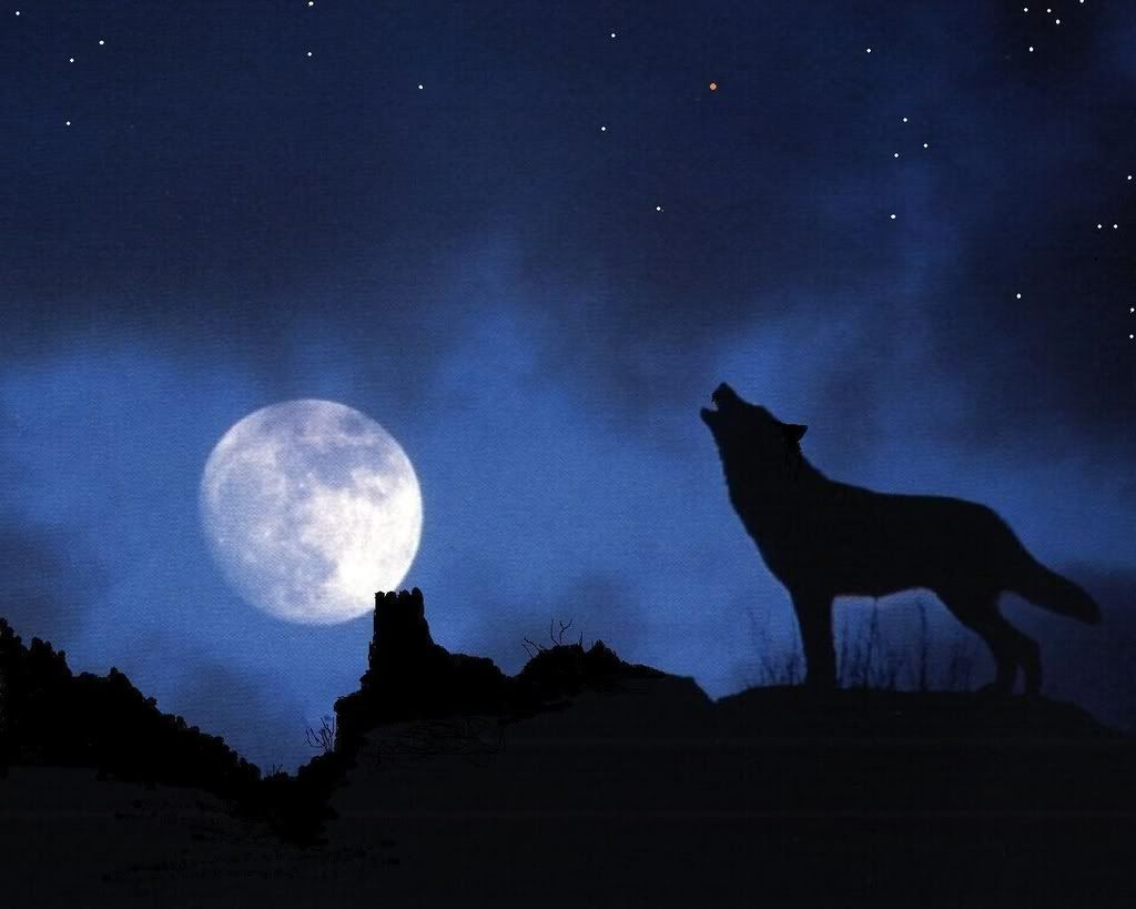 WOLF MOON