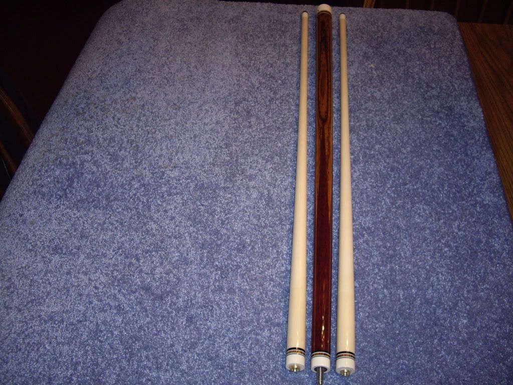 IMGP1268.jpg