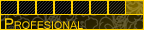 Profesional del Diseño Profesional del Diseño