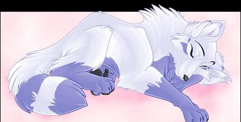 Obrázok “http://i201.photobucket.com/albums/aa46/puppuppuppy2/Sassko.jpg” sa nedá zobraziť, pretože obsahuje chyby.