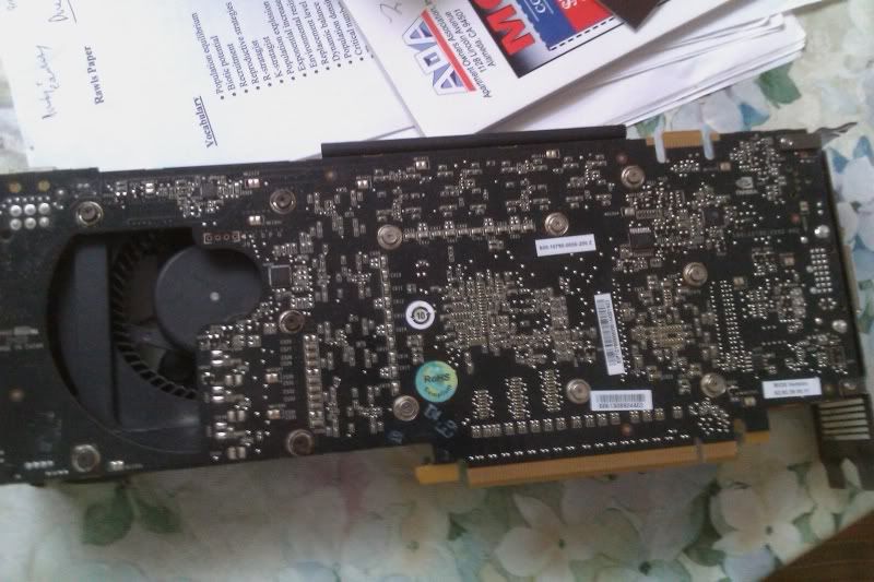 IMAG0297.jpg