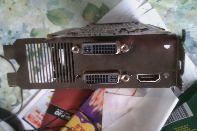 IMAG0299.jpg
