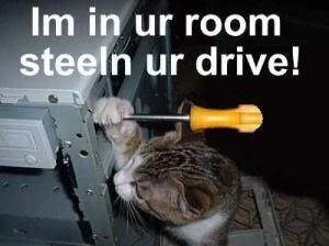 cat20stealing20drive.jpg picture by killjoy_025