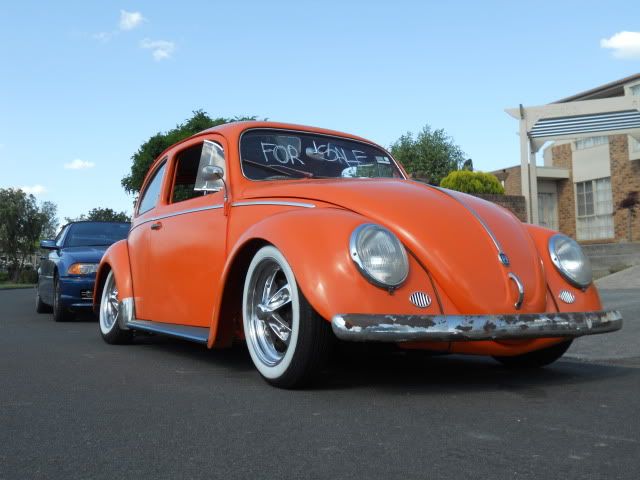 http://i201.photobucket.com/albums/aa56/jnrm3/beetle016.jpg