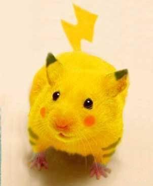 Pikachu Cosplay Pictures, Images and Photos
