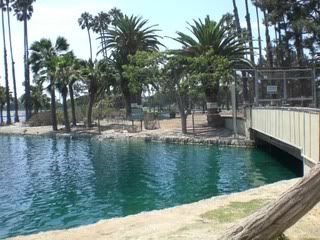 August 4, 2008