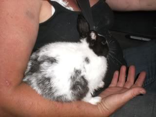 August 12, 2008 Dutch Mix [RESCUED]