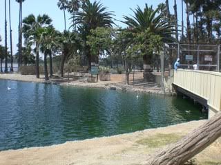 August 28, 2008