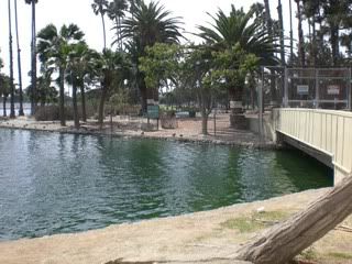 August 29, 2008