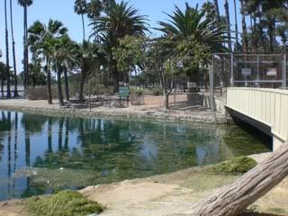 September 9, 2008