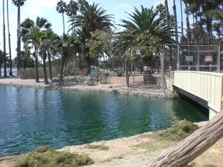 September 11, 2008