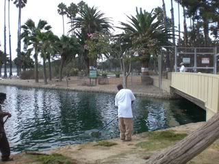 September 16. 2008