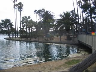 July 13, 2008