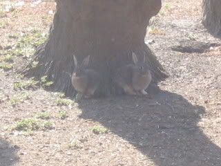 July 14, 2008 Grey &amp; Unknown