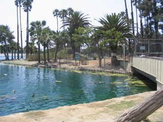 July 16, 2008