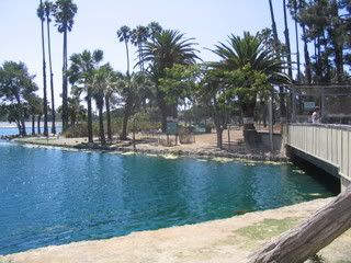 July 21, 2008