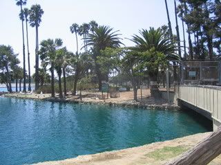 July 24, 2008