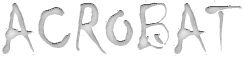 ACRO-HEADER.png