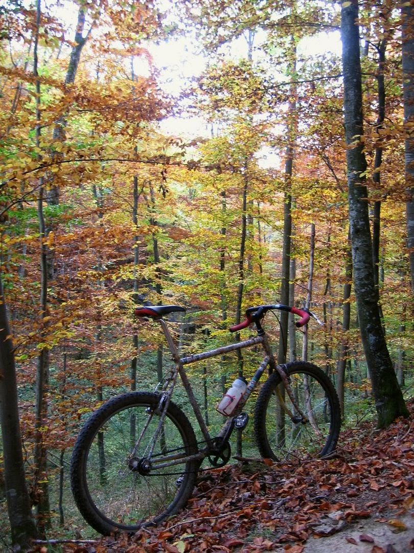 Singlespeed ulm