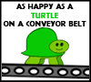 As Happy as a Turtle. Pictures, Images and Photos