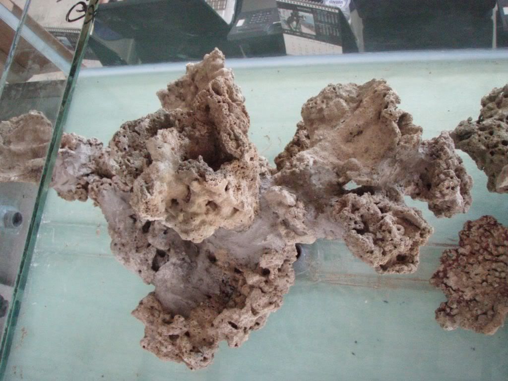 P1015231.jpg