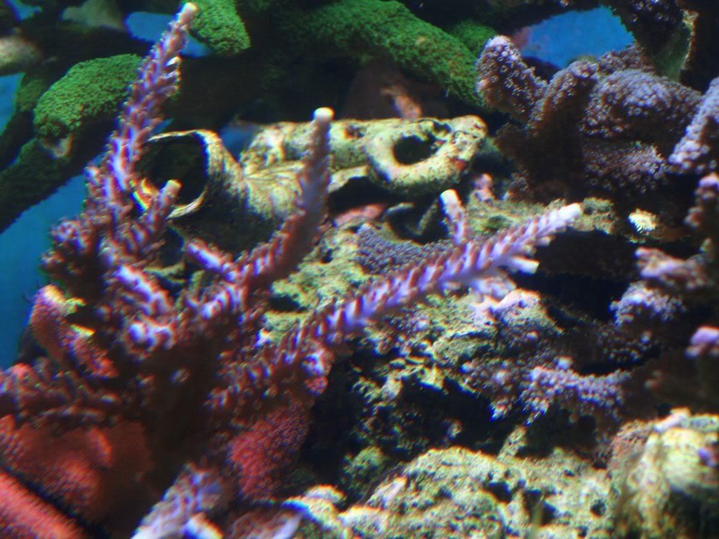 P4023457.jpg