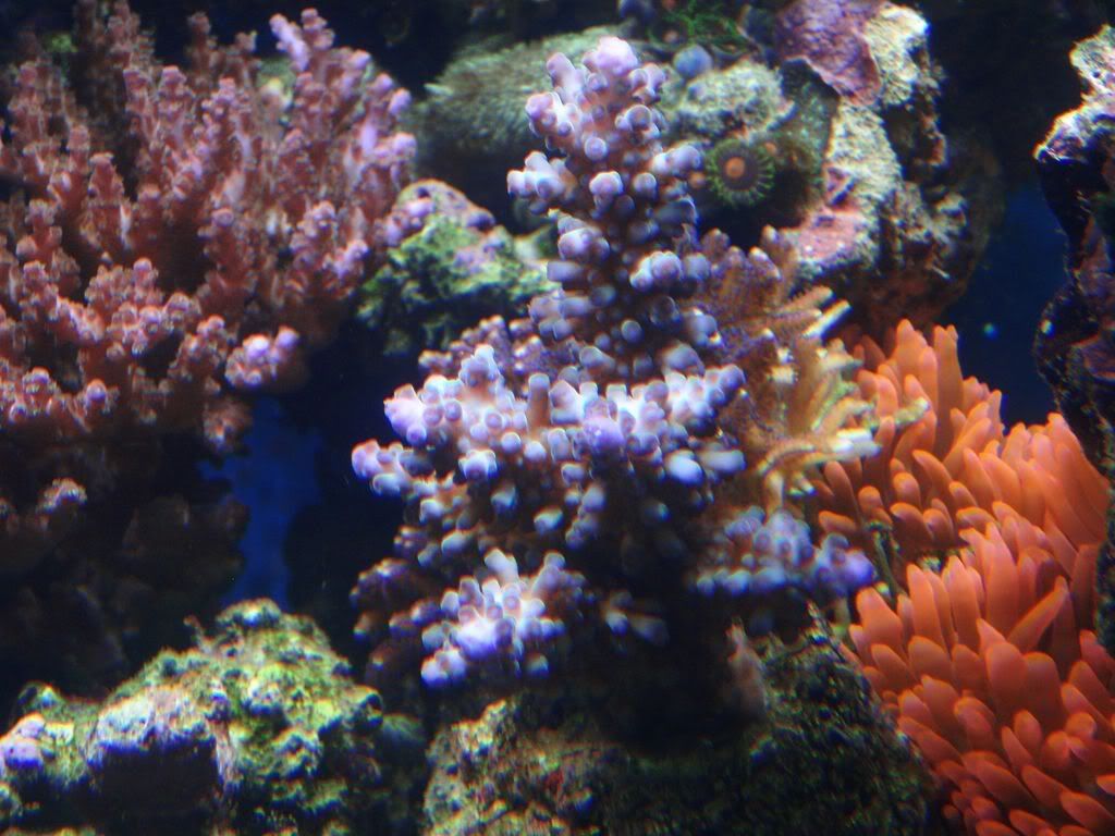 P4023458.jpg