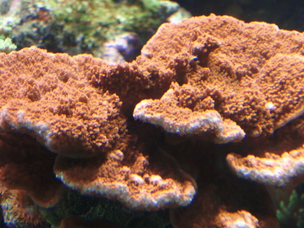 P4023469.jpg