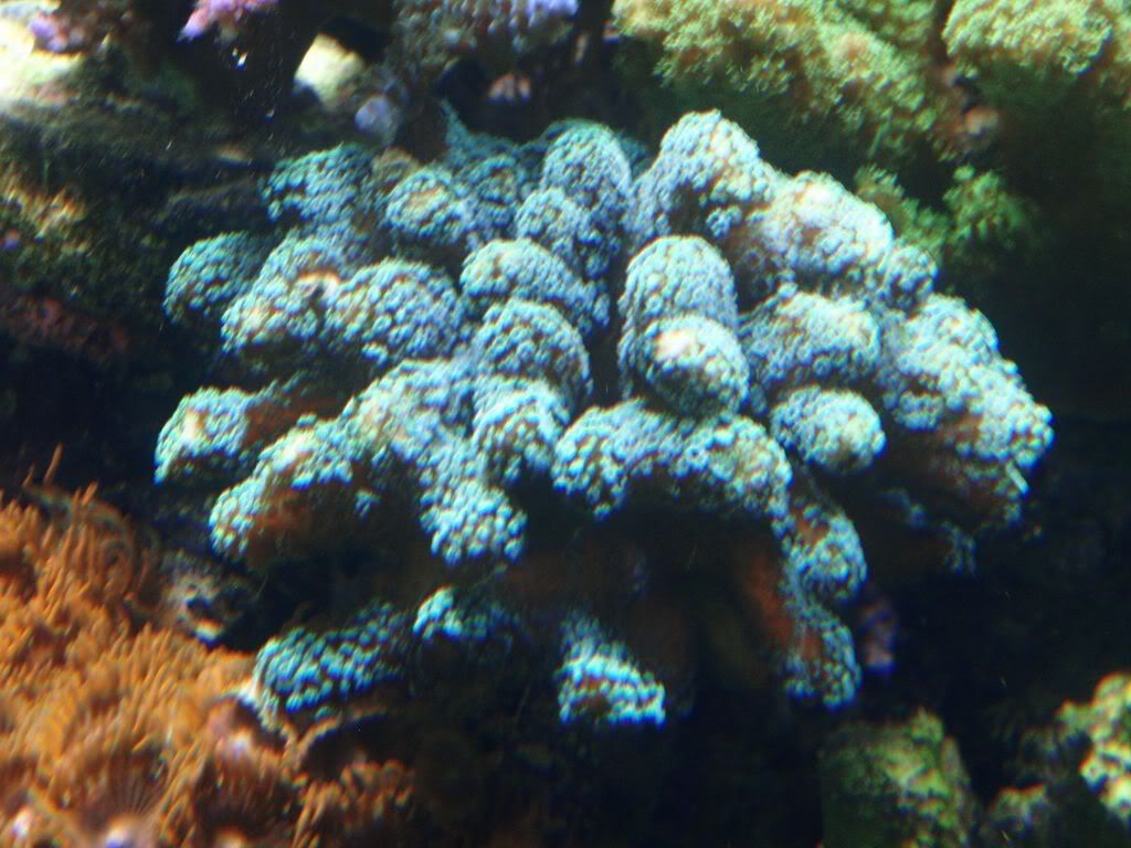 P4023470.jpg