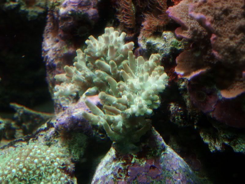 P5243998.jpg