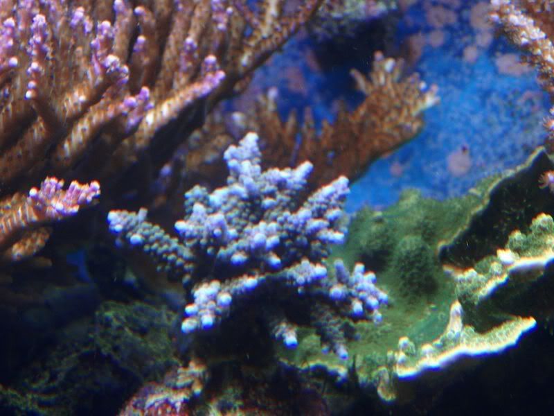 P5244002.jpg