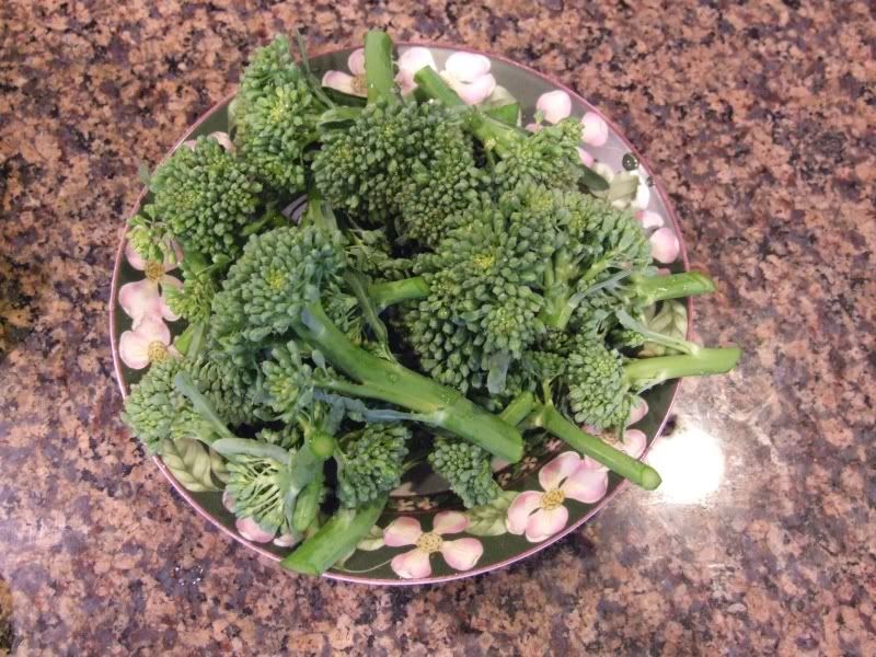 broccolini seeds