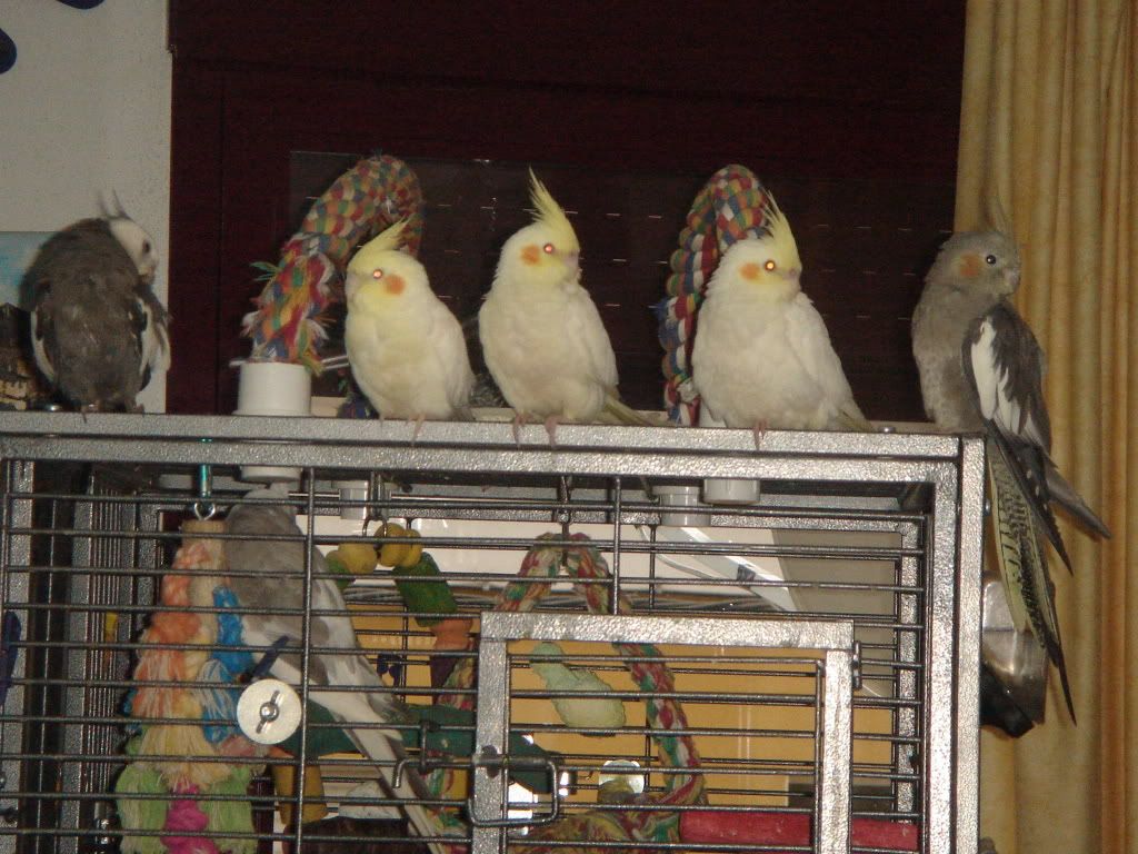 DSC00281.jpg