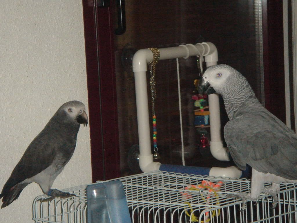 DSC00402.jpg