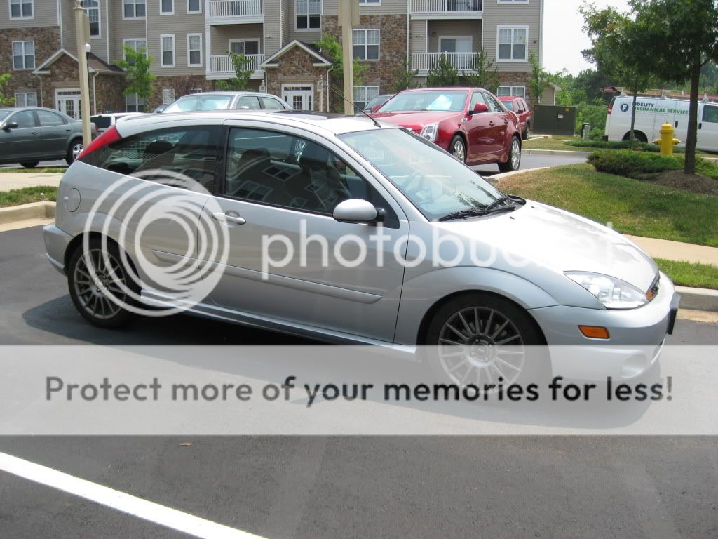 2004 Ford focus svt euro package #10