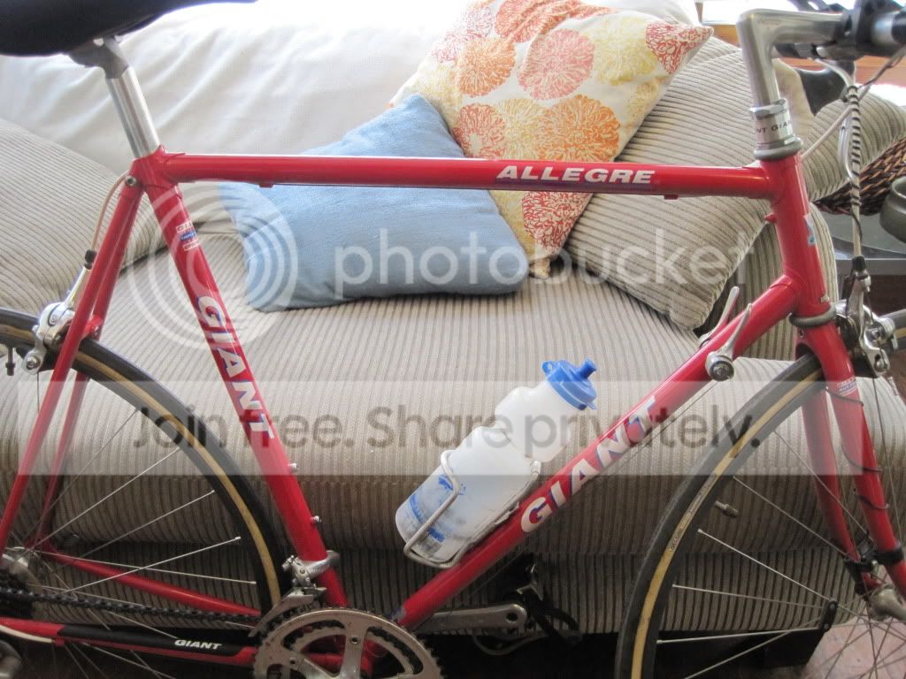 Giant Allegre - Bike Forums
