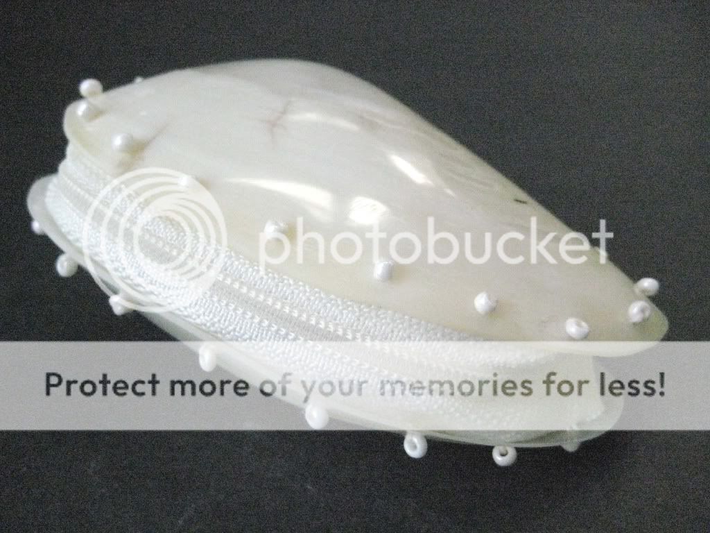 Seashell Coin Purse / Wallet   PEARLY WHITE Sea Shell Trinket Holder 